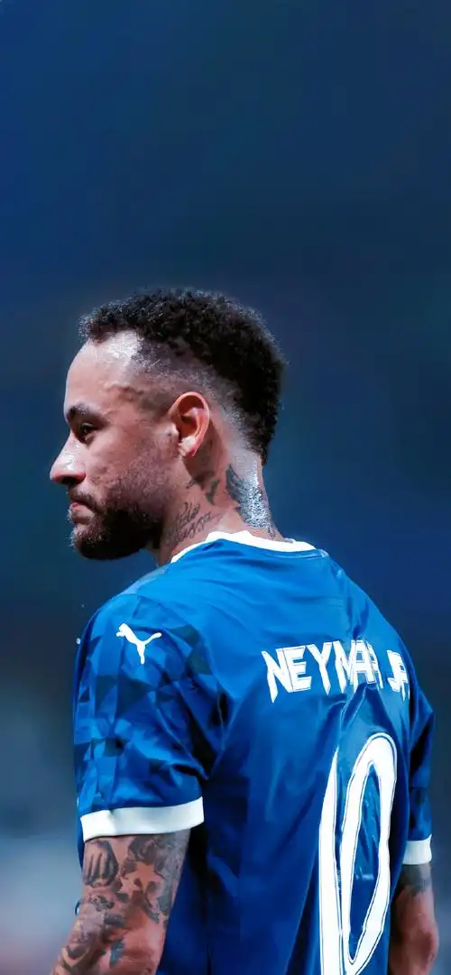 我们揭示了 我们揭示了