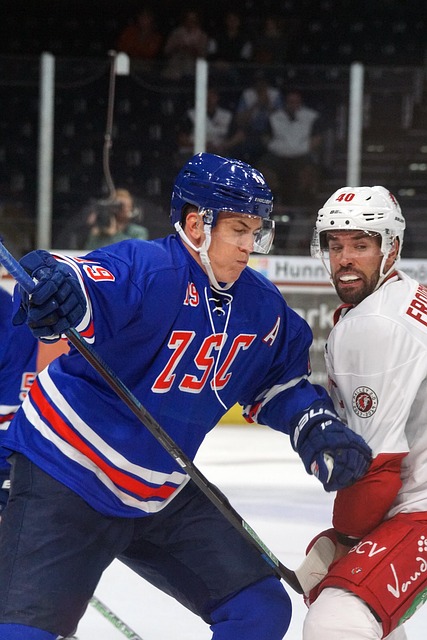 高清摄影和 高清摄影和